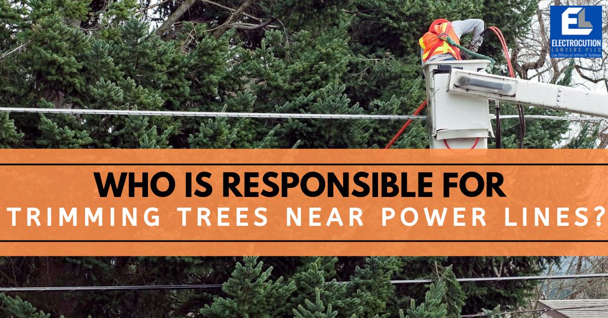 Who is responsible for trimming trees near power lines?