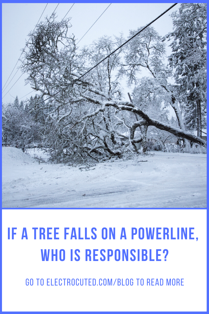 If a tree falls on power lines, who is responsible?